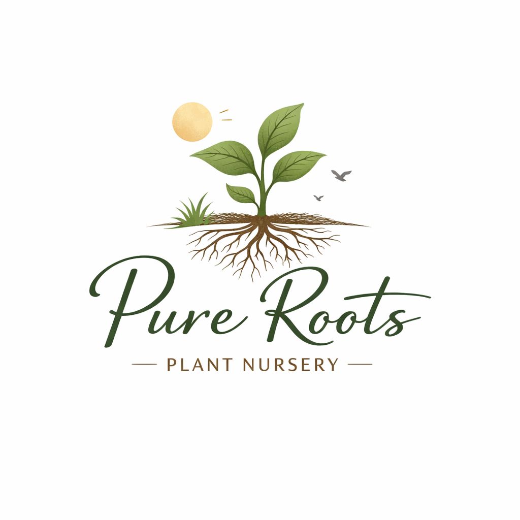 Pure Roots